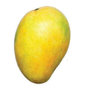 Himayat Mango