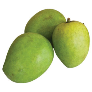 Kobbari Mamidi Mango